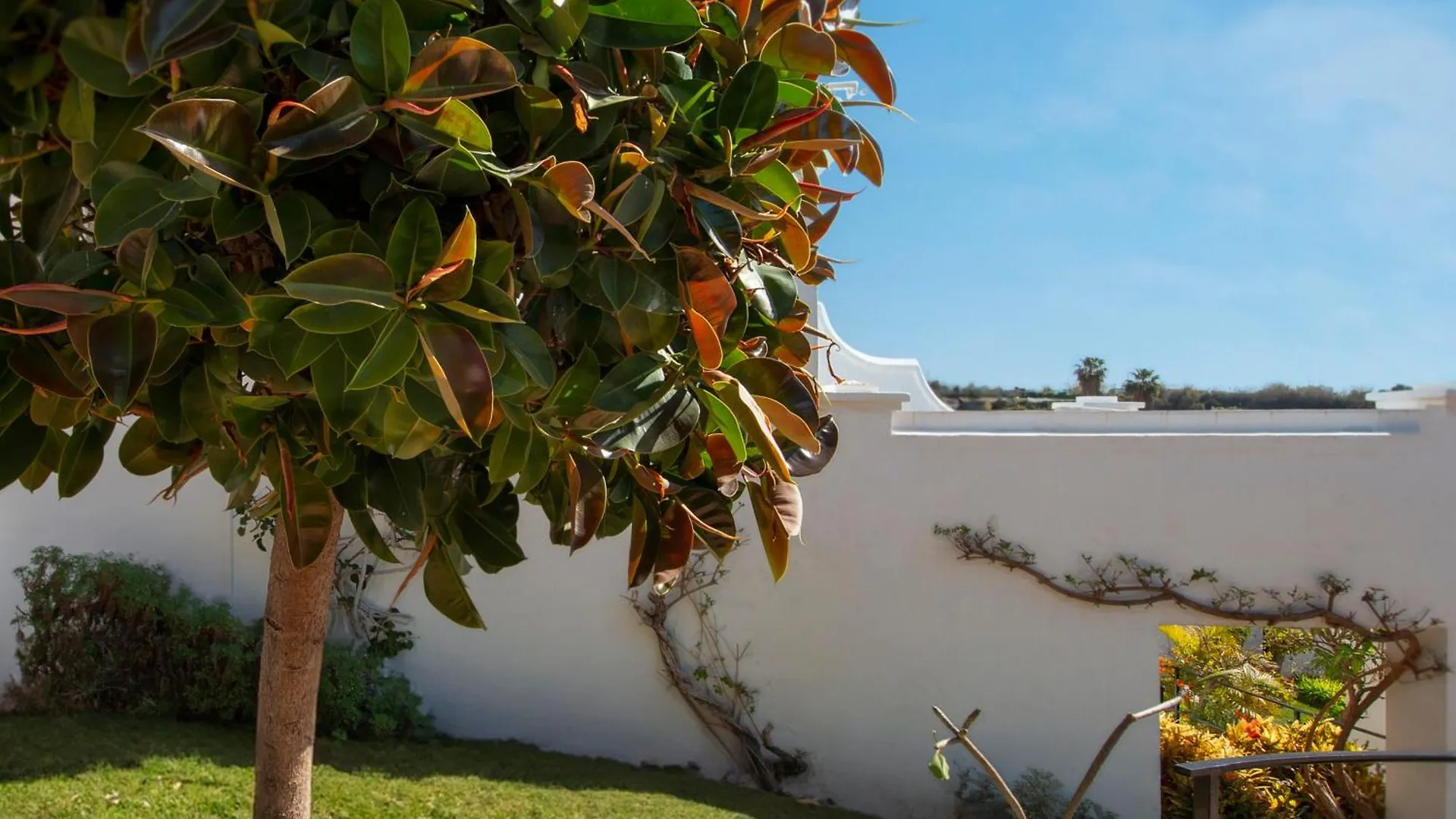 Oasis De Capistrano 23 Apartment Nerja